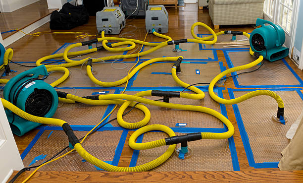 Professional Crawl Space Water Removal technician working in Weld, ME